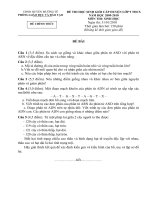 đề HSG sinh lớp 9 (11) 