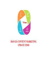 báo giá lẻ content 2018 dk
