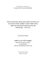 PHÂN TÍCH RỦI RO TRONG HOẠT ĐỘNG TÍN DỤNG TẠI NGÂN HÀNG NÔNG NGHIỆP VÀ PHÁT TRIỂN NÔNG THÔN CHI NHÁNH ĐẤT ĐỎ HUYỆN ĐẤT ĐỎ TỈNH BÀ RỊA – VŨNG TÀU