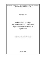 NGHIÊN CỨU LỰA CHỌN PHỤ GIA HÓA HỌC VÀ LƯỢNG DÙNG HỢP LÝ CHO BÊ TÔNG ĐẦM LĂN, ĐẦM TÂN MỸ