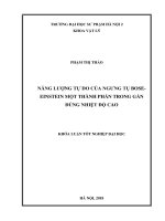 Năng lượng tự do của ngưng tụ bose  einstein một thành phần trong gần đúng nhiệt độ cao (2018)