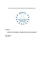 Marketing si management (curs a nita) 