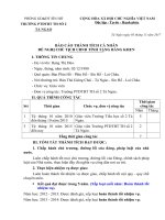 BÁO CÁO THÀNH TÍCH BẰNG KHEN - DÚA - 2017