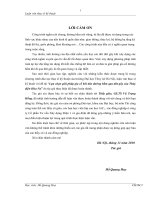 LỰA CHỌN GIẢI PHÁP GIA CỐ KHI ĐÀO ĐƯỜNG HẦM QUA ĐỨT GÃY CỦA THỦY ĐIỆN HỮU NA