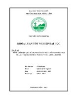 Đánh giá hiệu quả sử dụng đất sản xuất nông nghiệp tại trang trại 18, Moshav Paran  vùng Arava  Israel (Khóa luận tốt nghiệp)