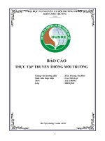 123doc bao cao thuc tap truyen thong moi truong 1