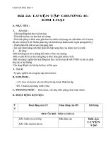 Giáo án Hóa học 9 bài 22: Luyện tập chương 2  Kim loại