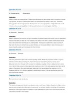 Q a schweser self test  04  portfolio management for institutional investors   answers 