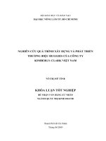 NGHIÊN CỨU QUÁ TRÌNH XÂY DỰNG VÀ PHÁT TRIỂN THƯƠNG HIỆU HUGGIES CỦA CÔNG TY KIMBERLYCLARK VIỆT NAM