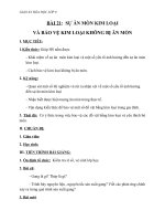 Giáo án Hóa học 9 bài 21: Sự ăn mòn kim loại và bảo vệ kim loại không bị ăn mòn