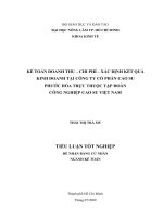 KẾ TOÁN DOANH THU – CHI PHÍ – XÁC ĐỊNH KẾT QUẢ KINH DOANH TẠI CÔNG TY CỔ PHẦN CAO SU PHƯỚC HÒA TRỰC THUỘC TẬP ĐOÀN CÔNG NGHIỆP CAO SU VIỆT NAM