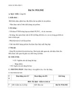 Giáo án Hóa học 9 bài 54: Polime