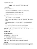 Giáo án Hóa học 9 bài 20: Hợp kim sắt: gang, thép