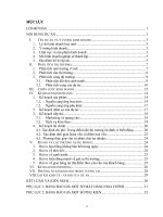 Tiểu luận môn Phân tích và Lập dự án doanh nghiệp