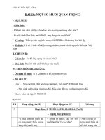 Giáo án Hóa học 9 bài 10: Một số muối quan trọng