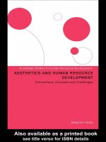 The aesthetic challenges of human resource development (routledge studies in human resource development) 