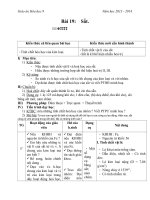 Giáo án Hóa học 9 bài 19: Sắt