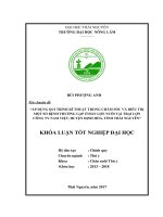 Áp dụng qui trình kĩ thuật trong chăm sóc và điều trị một số bệnh thường gặp ở đàn lợn nuôi tại trại lợn Công ty cổ phần Nam Việt  huyện Định Hóa  tỉnh Thái Nguyên (Khóa luận tốt nghiệp)
