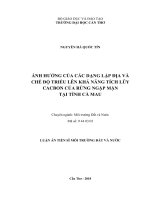 Ảnh hưởng của các dạng lập địa và chế độ triều lên khả năng tích lũy cacbon của rừng ngập mặn tại tỉnh cà mau 