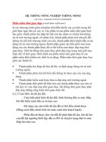 HỆ THỐNG NÔNG NGHIỆP THÔNG MINH