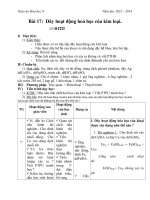 Giáo án Hóa học 9 bài 17: Dãy hoạt động hóa học của kim loại