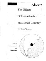 The effects of protectionism on a small country the case of uruguay (world bank regional and sectoral studies) 
