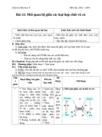 Giáo án Hóa học 9 bài 12: Mối quan hệ giữa các hợp chất vô cơ