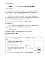 Giáo án Hóa học 9 bài 11: Phân bón hóa học