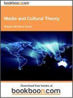 media and cultural theory 