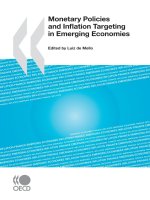 Monetary policies and inflation targeting in emerging economies 