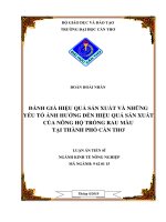 Đánh giá hiệu quả sản xuất và những yếu tố ảnh hưởng đến hiệu quả sản xuất của nông hộ trồng rau màu tại thành phố cần thơ 