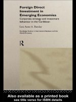 Foreign direct investment in emerging economies (routledge studies in international business and the world economy, 16,) 