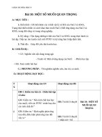 Giáo án Hóa học 9 bài 10: Một số muối quan trọng