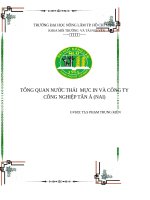 TỔNG QUAN NƯỚC THẢI  MỰC IN VÀ CÔNG TY CÔNG NGHIỆP TÂN Á (NAI)