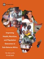 Improving health, nutrition and population outcomes in sub saharan africa the role of the world bank (sub saharan africa and the world bank) 