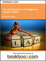the un declaration on indigenous peoples rights 