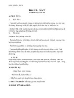 Giáo án Hóa học 9 bài 19: Sắt