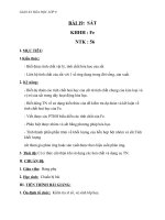 Giáo án Hóa học 9 bài 19: Sắt