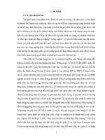 SKKN một số giải pháp nâng cao chất lượng hoạt động chuyên môn tại trường THCS phan bội châu, thị xã gia nghĩa, tỉnh đăk nông