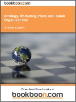 Strategy, marketing plans and small organisations 