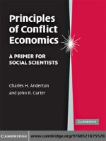 Principles of conflict economics 