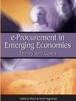 E procurement in emerging economies theory and cases 