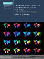 Trade policy flexibility and enforcement in the WTO a law and economics analysis (cambridge international trade and economic law) 