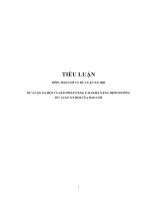 Tiểu luận cao học báo chí và dư luận xã hội   dư luận xã hội và giải pháp nâng cao khả năng định hướng dư luận xã hội của báo chí