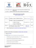 Mẫu báo cáo tuần đơn vị tư vấn giám sát