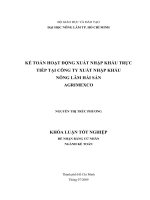 KẾ TOÁN HOẠT ĐỘNG XUẤT NHẬP KHẨU TRỰC TIẾP TẠI CÔNG TY XUẤT NHẬP KHẨU NÔNG LÂM HẢI SẢN AGRIMEXCO
