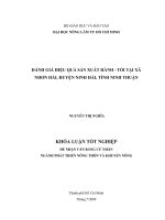 ĐÁNH GIÁ HIỆU QUẢ SẢN XUẤT HÀNH  TỎI TẠI XÃ NHƠN HẢI, HUYỆN NINH HẢI, TỈNH NINH THUẬN