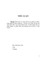 4 tiểu luận lựa chọn phong trào có thật, phân tích sự hình thành và phát triển của phong trào xã hội ở việt nam