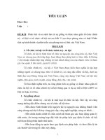 1 tiểu luận giống và khác nhau giữa tổ chức chính trị xã hội và tổ chức xã hội mà em biết