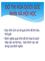 Tiểu luận đô thị hóa dưới góc nhìn xã hội học